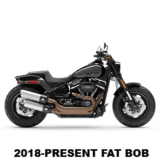 2018-Present Fat Bob